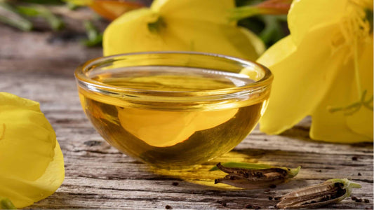 L&#8217;huile végétale d&#8217;onagre, 4 bienfaits beauté à connaître