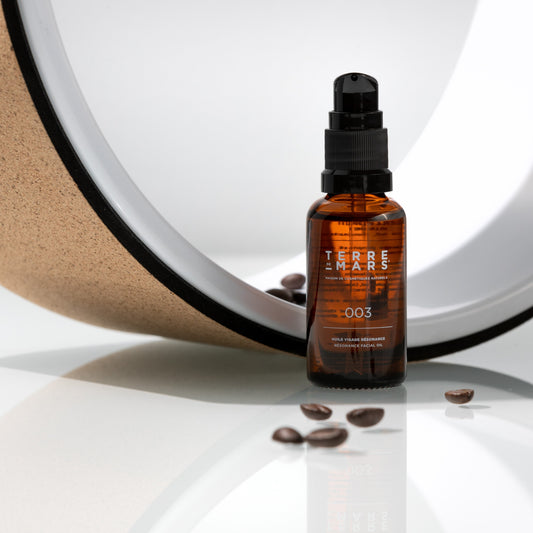 L’huile naturelle de jojoba, une huile incontournable pour le corps et les cheveux