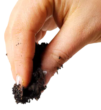 Astuce : tâche de vin rouge ? No stress