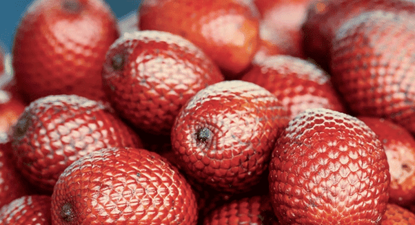 L&#8217;huile végétale de buriti : ses bienfaits cachés