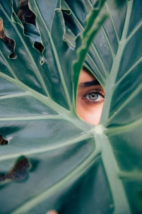 La cosmétique vegan et cruelty-free expliquée