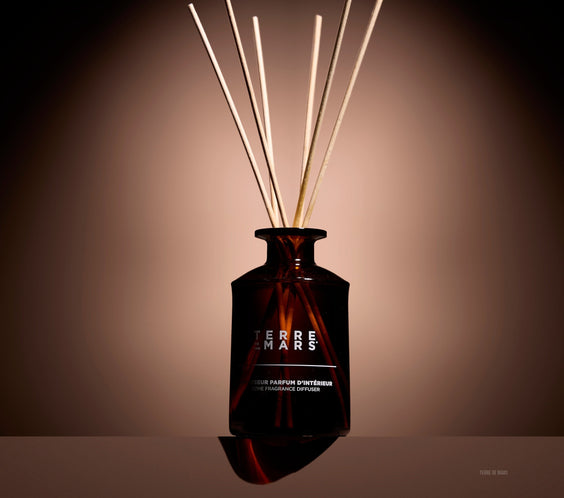 Révélation Diffuseur de Parfum d'Intérieur Maison