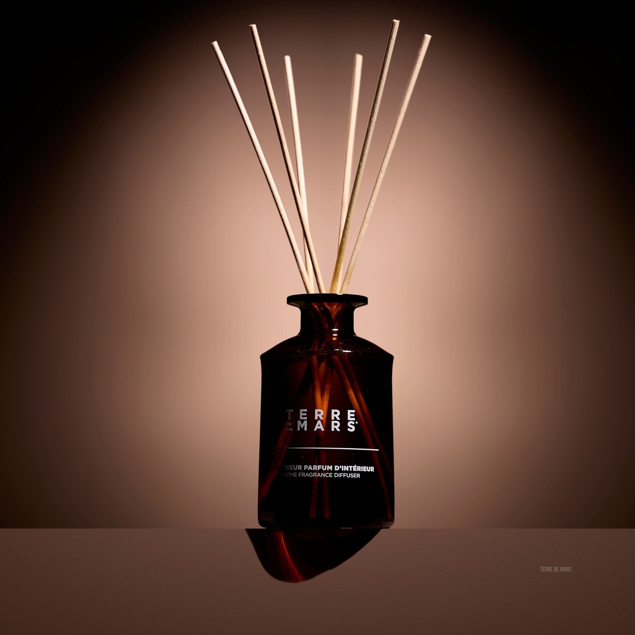 Révélation Diffuseur de Parfum d'Intérieur Maison