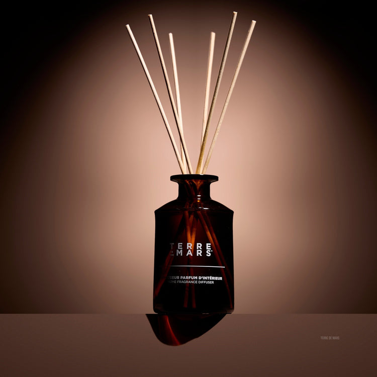 Révélation Diffuseur de Parfum d'Intérieur Maison