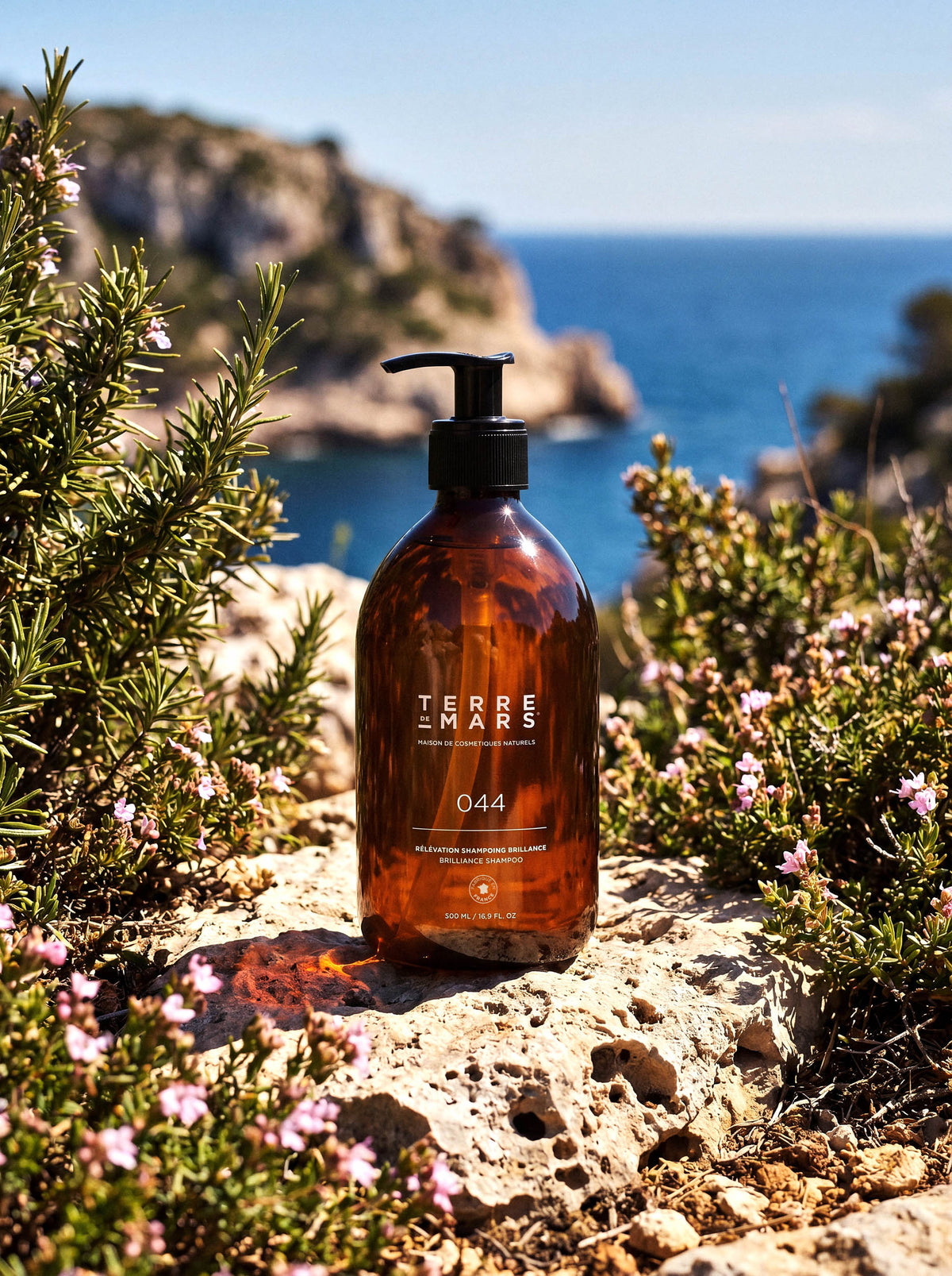 Shampoing Brillance Révélation