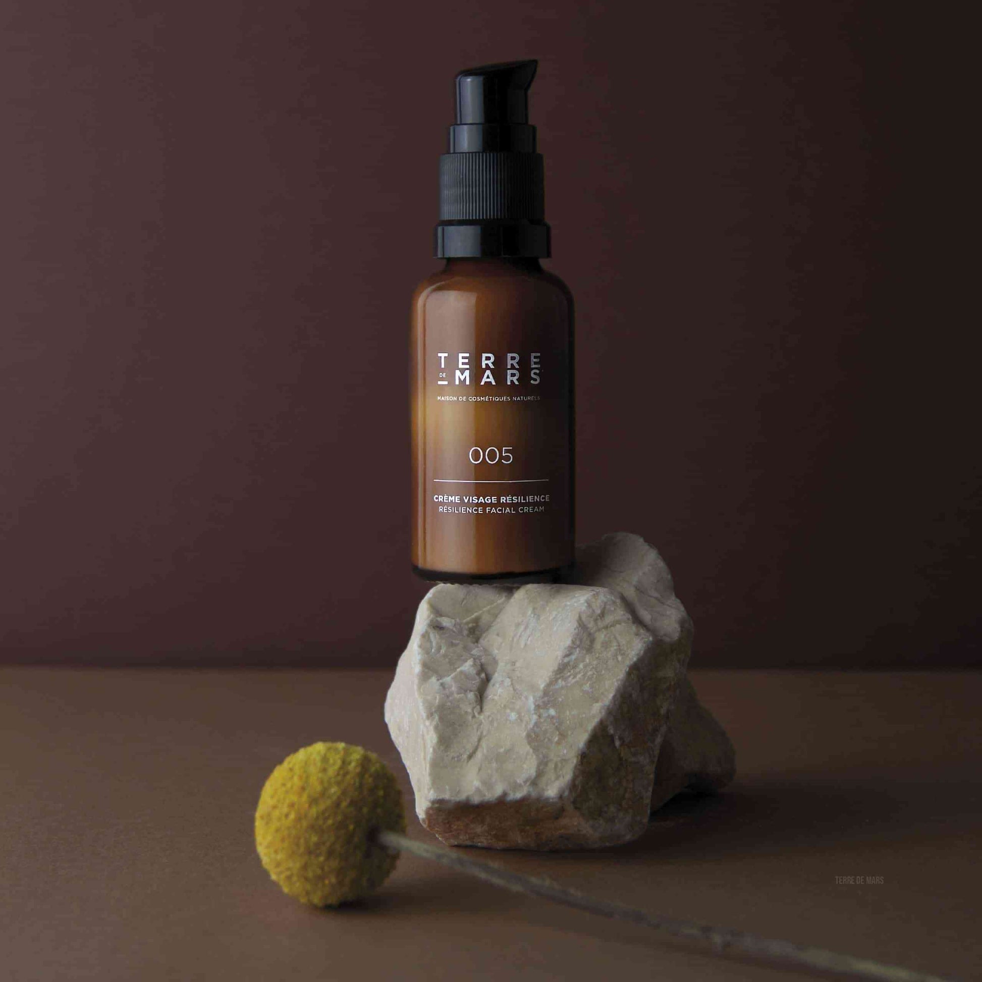 Crème Visage Résilience Soin Visage