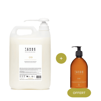 Shampoing Revitalisant Reddition — 5L. + 500ml Offert