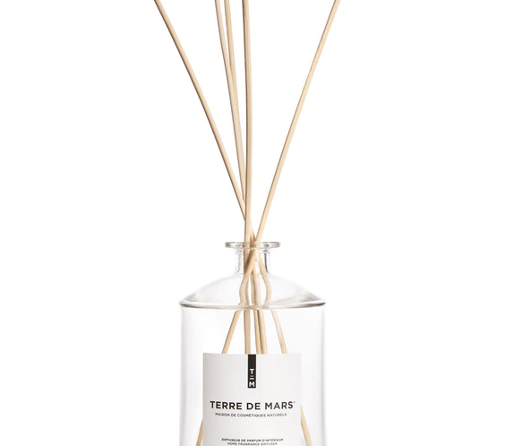 Intuition Diffuseur de Parfum d'Intérieur