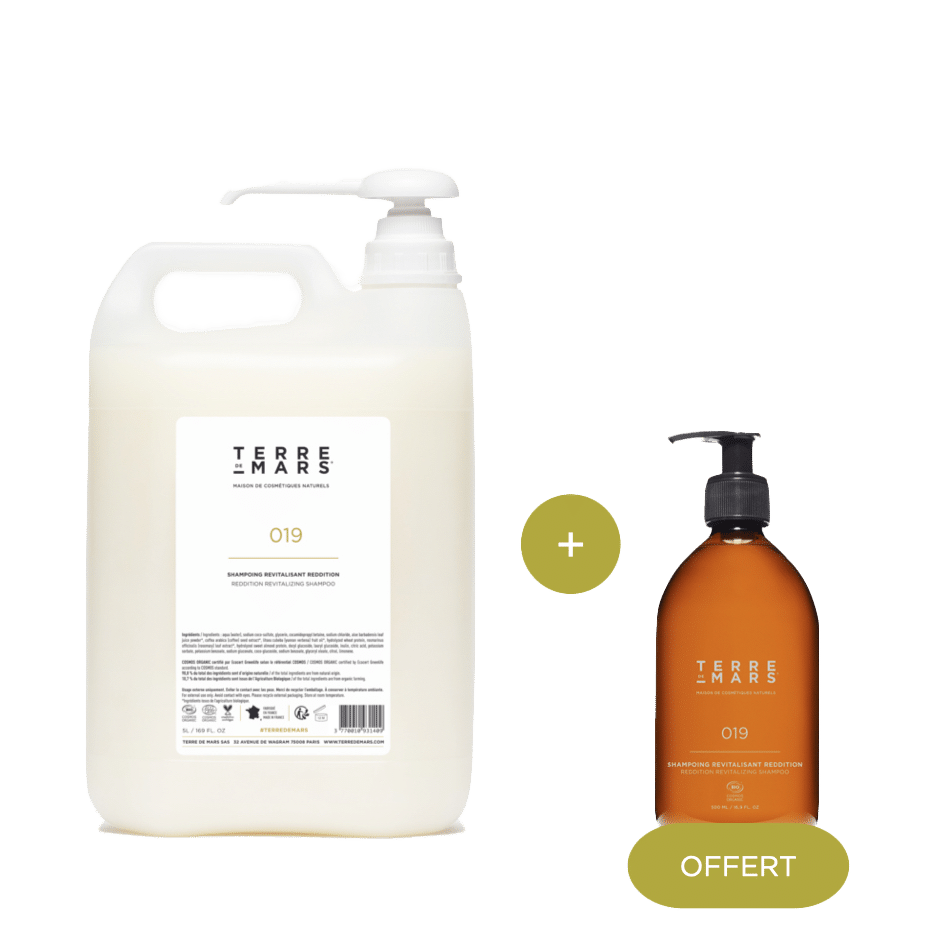 Recharge Shampoing Revitalisant Reddition 5L avec flacon offert